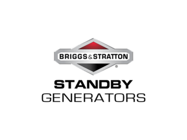 Briggs Stratton